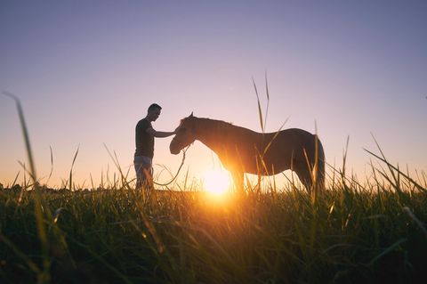 Eine Person steht mit einem Pferd bei Sonnenuntergang auf einer Wiese