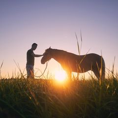 Eine Person steht mit einem Pferd bei Sonnenuntergang auf einer Wiese