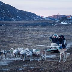 Globale Erwärmung: Ein Verlust von Freiheit: Wie die Eisschmelze grönländische Traditionen bedroht