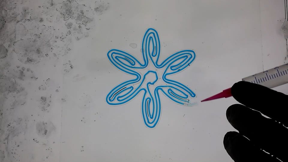 Bionik: Softies aus dem 3D-Drucker: Forschende entwickeln eine neue Generation Roboter