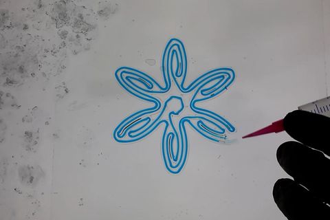 Bionik: Softies aus dem 3D-Drucker: Forschende entwickeln eine neue Generation Roboter