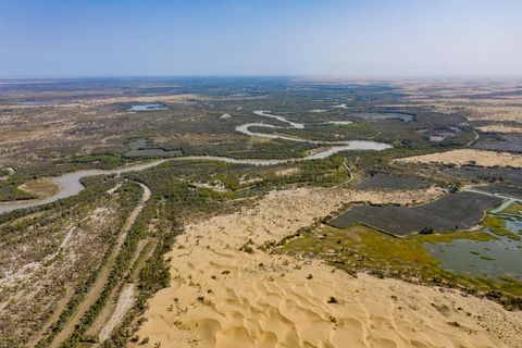 Euphrat-Pappeln säumen den Tarim-Fluss im Norden der Wüste Taklamakan. Mit einem Einzugsgebiet von mehr als einer Million Quadratkilometern ist der Wasserlauf der längste Binnenfluss Chinas. Durch Verdunstung, Versickerung und landwirtschaftliche Nutzung endet er nach mehr als 2000 Kilometern im Osten der Wüste