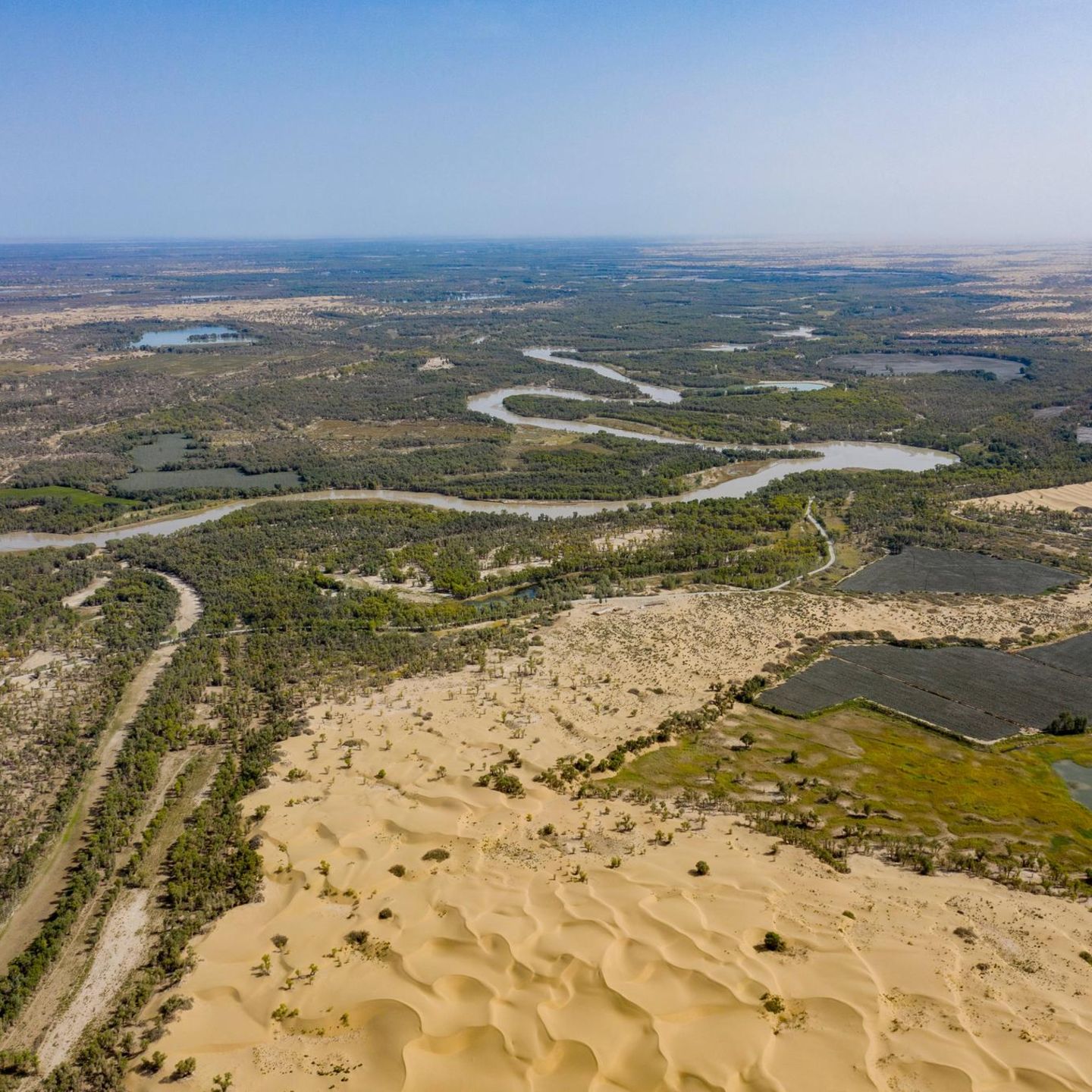 Euphrat-Pappeln säumen den Tarim-Fluss im Norden der Wüste Taklamakan. Mit einem Einzugsgebiet von mehr als einer Million Quadratkilometern ist der Wasserlauf der längste Binnenfluss Chinas. Durch Verdunstung, Versickerung und landwirtschaftliche Nutzung endet er nach mehr als 2000 Kilometern im Osten der Wüste