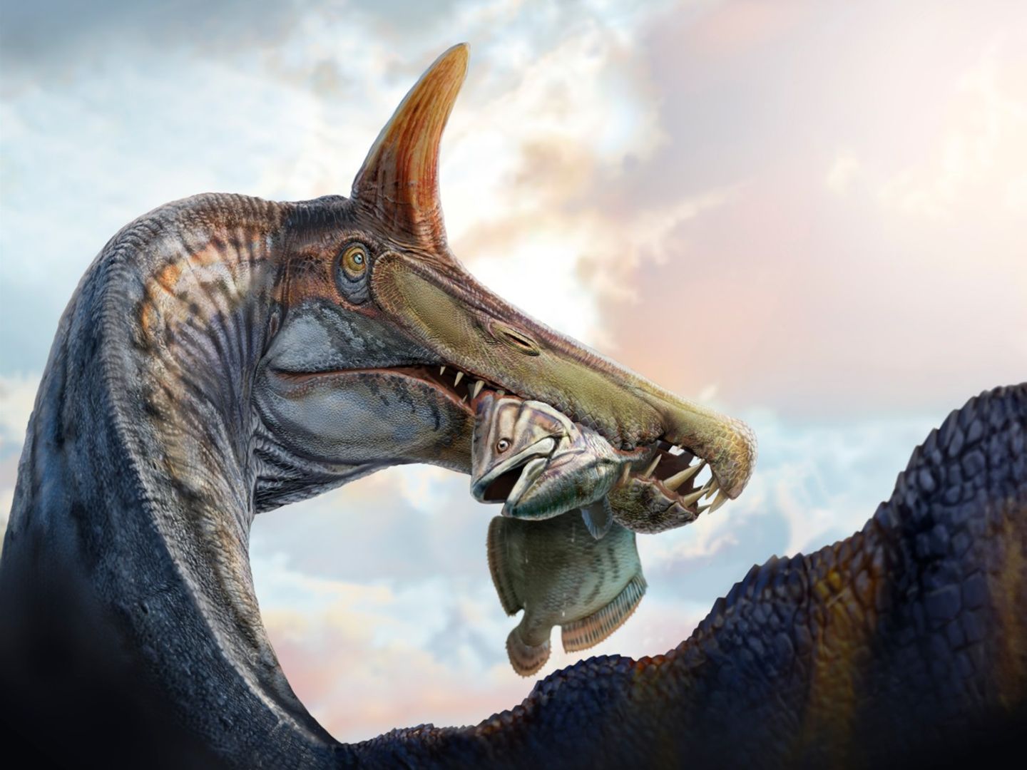 Spinosaurus mirabilis beim Verzehr eines Quastenflossers