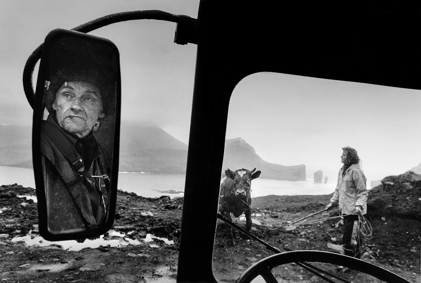 Im rauen Klima der Färöer finden Kühe kaum saftige Weiden. Nur wenige Bauern nehmen wie Rein und Mikkelsen hier die Strapazen der Viehzucht in Kauf. Schafe hingegen gibt es auf den Inseln reichlich: rund 80.000 – mehr noch als Menschen.