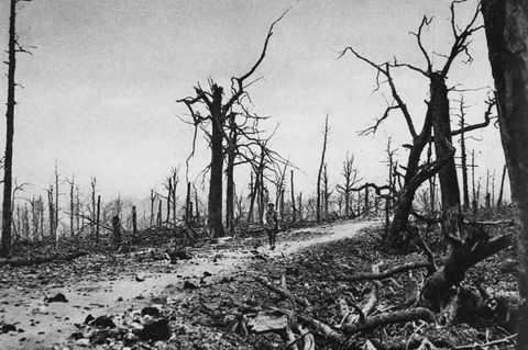 Schlacht bei Verdun, 1916