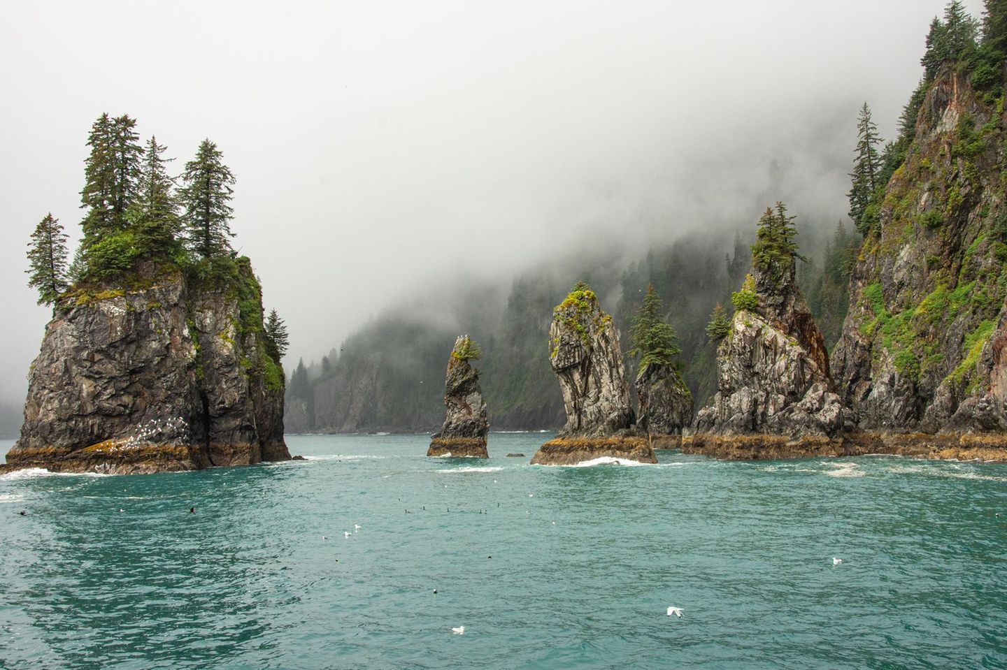 Kenai Fjords Nationalpark in Alaska