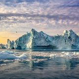 Am Eisfjord von Ilulissat in Westgrönland münden die Ausläufer des Gletschers Sermeq Kujalleq ins Wasser und kalben. Jeden Tag gelangen so rund 70 Millionen Tonnen Eis in den Fjord und treiben in Richtung Meer am Fjordausgang. Aufgrund der Gletscherschmelze lässt sich die Gesamtlänge des Fjordes nicht exakt festlegen. Fachleute gehen jedoch von 40 bis 60 Kilometern aus. Auf dieser Strecke sind unzählige Eisberge wie eine frostige Parade bis zu 15 Monate unterwegs, bis sie am Ende des Fjords ankommen und über die Diskobucht in den Atlantik gelangen.