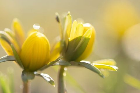 Manche Menschen reagieren stärker als andere auf Wetteränderungen. (Symbolbild) Foto: Sebastian Kahnert/dpa