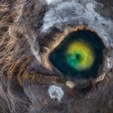 Vulkanisches Wasser sprudelt in den Hveravellir-Thermalquellen Islands aus großer Tiefe zur Oberfläche. Der Fotograf Miki Spitzer fing die Urkraft des Erdreiches aus der Luft ein: In seiner Drohnenaufnahme, dem Gewinnerbild in der Kategorie "Landschaften des Planeten Erde", leuchtet das Wasserbecken so hell wie das Auge eines gewaltigen Ungeheuers.
