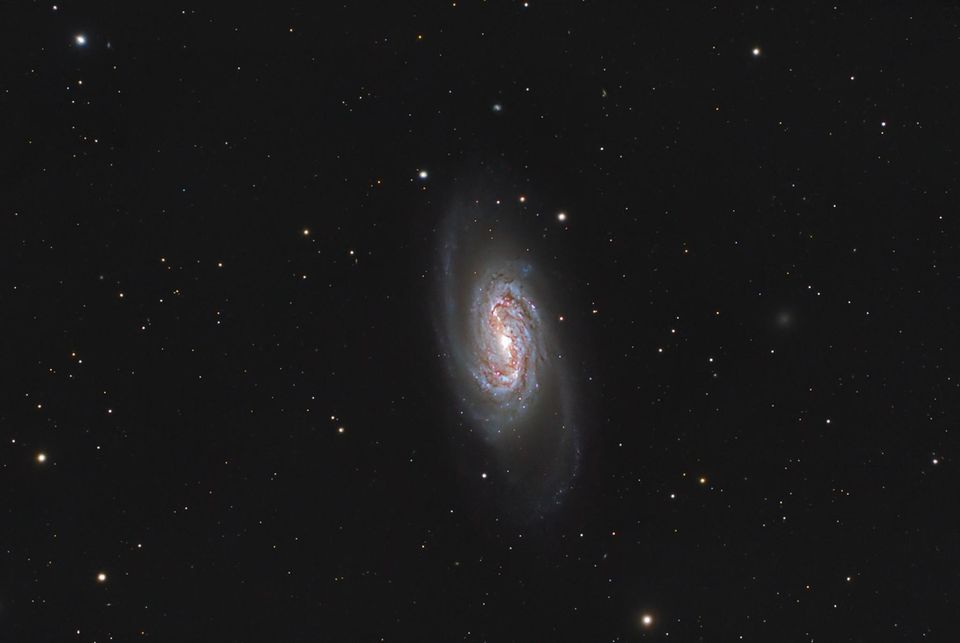 Die Balkenspiralgalaxie NGC 2903, aufgenommen vom Hobbyastronomen Bruno Mattern 