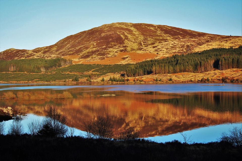 Galloway Forest Park