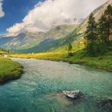 Der größte Naturpark im Trentino ist der Naturpark Adamello Brenta. Er wurde 1967 gegründet und ist seit 2008 als UNESCO Global Geopark anerkannt. Zwischen den senkrechten Wänden der Brenta-Dolomiten im Osten und dem eisbedeckten Adamello im Westen breiten sich Wälder, Blumenwiesen und Almen aus. Hier leben Hirsche, Gämsen, Eichhörnchen, Murmeltiere – und sogar Braunbären, die seit den 1990er-Jahren wieder angesiedelt wurden. Im Frühling ist der Park ein Paradies für Wanderer: Leichte Touren führen etwa zu den Nardis-Fällen im Val Genova oder zu den Vallesinella-Wasserfällen bei Madonna di Campiglio, wo Schmelzwasser spektakulär über die Felsen stürzt. Wer tiefer eintauchen will, schließt sich geführten Naturtouren und Tierbeobachtungen an oder besucht das Fauna-Museum.