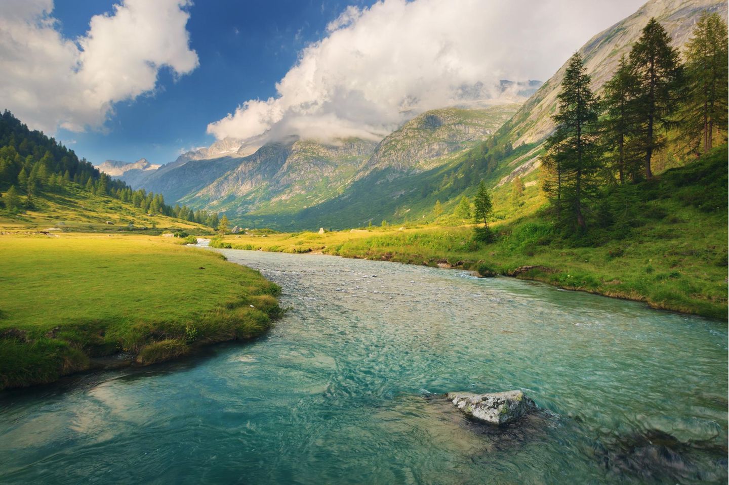 Der größte Naturpark im Trentino ist der Naturpark Adamello Brenta. Er wurde 1967 gegründet und ist seit 2008 als UNESCO Global Geopark anerkannt. Zwischen den senkrechten Wänden der Brenta-Dolomiten im Osten und dem eisbedeckten Adamello im Westen breiten sich Wälder, Blumenwiesen und Almen aus. Hier leben Hirsche, Gämsen, Eichhörnchen, Murmeltiere – und sogar Braunbären, die seit den 1990er-Jahren wieder angesiedelt wurden. Im Frühling ist der Park ein Paradies für Wanderer: Leichte Touren führen etwa zu den Nardis-Fällen im Val Genova oder zu den Vallesinella-Wasserfällen bei Madonna di Campiglio, wo Schmelzwasser spektakulär über die Felsen stürzt. Wer tiefer eintauchen will, schließt sich geführten Naturtouren und Tierbeobachtungen an oder besucht das Fauna-Museum.