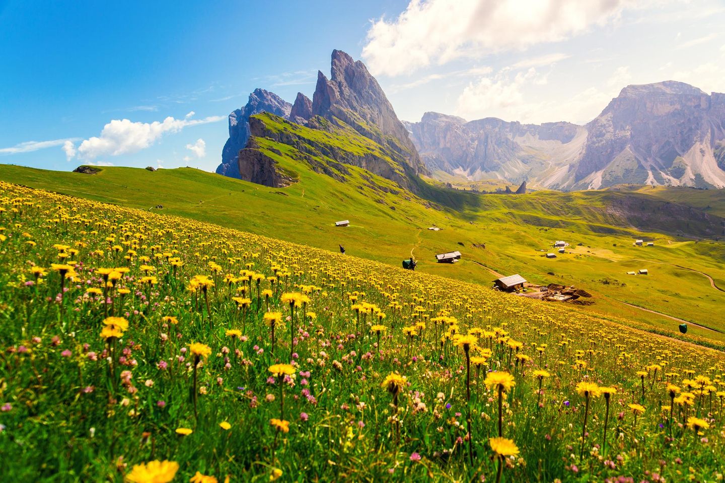 Vor der rauen Dolomitenkulisse leuchten im Frühjahr Blumen auf saftigen Bergwiesen. Die Seceda (im Bild) gehört zur Region Trentino-Südtirol, liegt jedoch nicht in der italienischen Provinz Trient. Insgesamt reicht die Urlaubsregion Trentino von den schroffen Gipfeln der Dolomiten bis zum mediterranen Ufer des Gardasees. Dazwischen warten mittelalterliche Burgen, glasklare Bergseen und blühende Weinberge darauf, entdeckt zu werden. Die geologische Vielfalt spiegelt sich auch im Klima wider: Am nördlichen Gardasee fühlt sich der Frühling oft schon wie ein früher Sommer an, mit milden Tagen zwischen 15 und 25 Grad. In den höher gelegenen Alpen- und Dolomitenregionen bleibt die Luft dagegen frisch – auf manchen Wegen hält sich der Schnee noch bis weit in die Saison hinein.