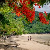 Weiße Strände, dichter Regenwald und türkisblaues Wasser: Nosy Be vor Madagaskars Nordküste ist ein Tropenparadies im Indischen Ozean. Wegen ihrer vielen Ylang-Ylang-Plantagen heißt sie auch die "Duftende Insel". Vanille, Kakao, Kaffee und Pfeffer gedeihen hier gleichermaßen prächtig. Dazwischen tummeln sich seltene Schwarzlemuren, Pantherchamäleons, und auch der ein oder andere Madagaskar-Fischadler ist mit etwas Glück zu sichten. Ob zum Tauchen, Baden, Wandern oder Entspannen: Ideale Reisezeit sind die trockenen Monate von Mai bis Oktober. Nosy Be ist als Hauptinsel des Archipels vor Madagaskar auch ein beliebter Ausgangspunkt für Erkundungstouren und Inselhopping mit dem Boot. 