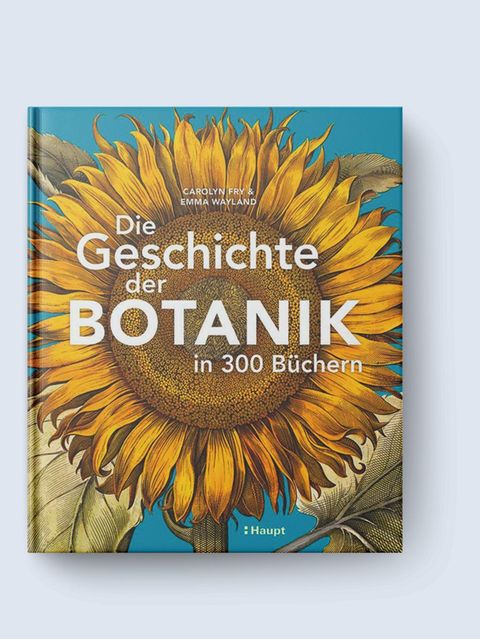 Das Buch "Die Geschichte der Botanik in 300 Büchern" von Carolyn Fry und Emma Wayland hat 272 Seiten mit 335 Abbildungen. Es erschien 2025 im Haupt Verlag, kostet 38 Euro und ist unter anderem hier erhältlich