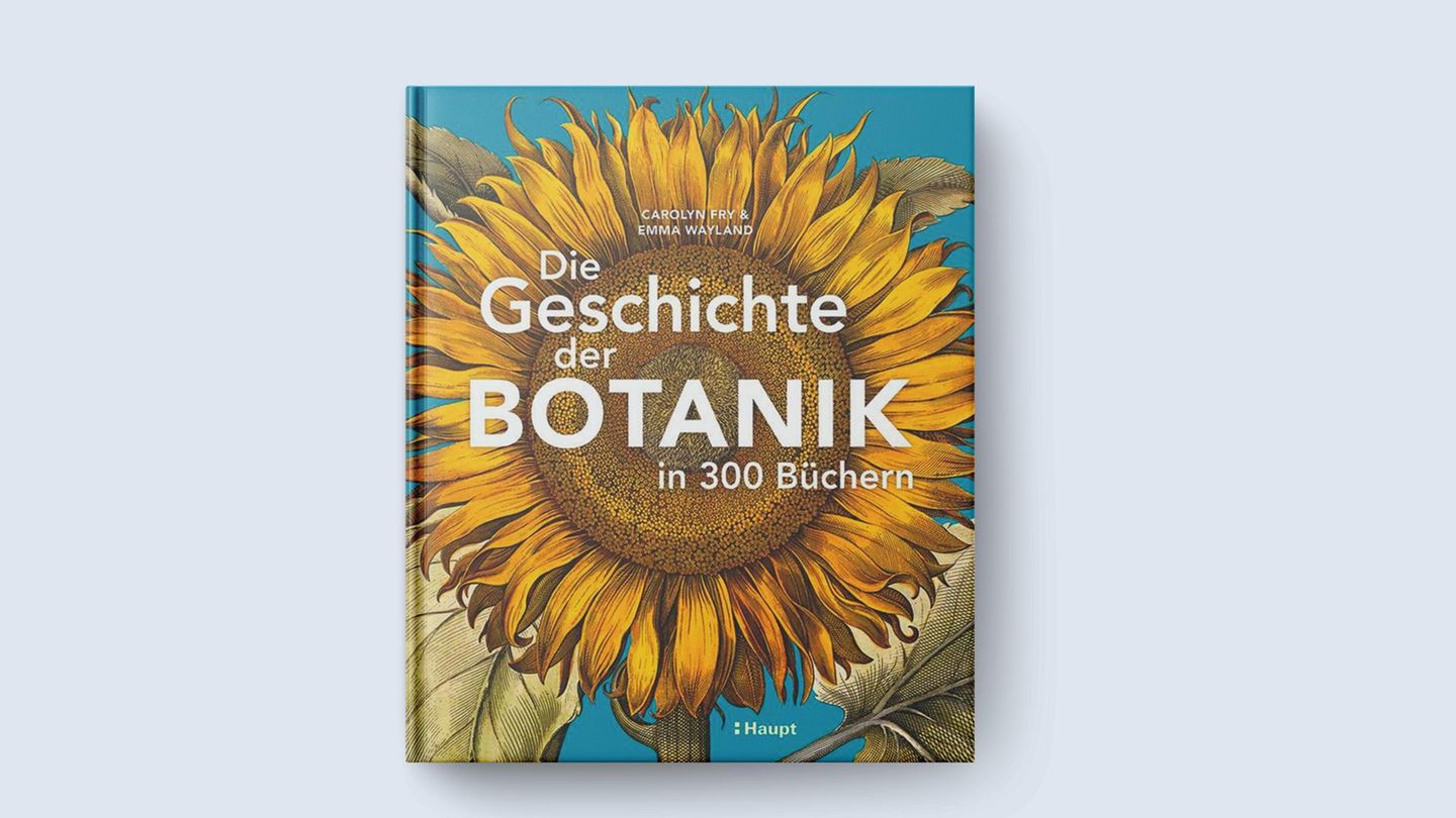 Das Buch "Die Geschichte der Botanik in 300 Büchern" von Carolyn Fry und Emma Wayland hat 272 Seiten mit 335 Abbildungen. Es erschien 2025 im Haupt Verlag, kostet 38 Euro und ist unter anderem hier erhältlich