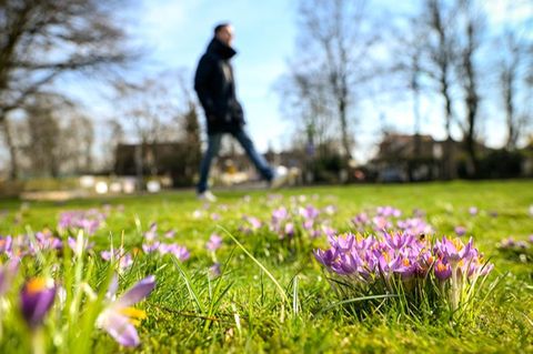 Frühlingsgefühle sind kein Mythos. Mehr Licht hebt die Stimmung – doch den Winterblues vertreibt, wer sich bewegt. Foto: Sina Sc