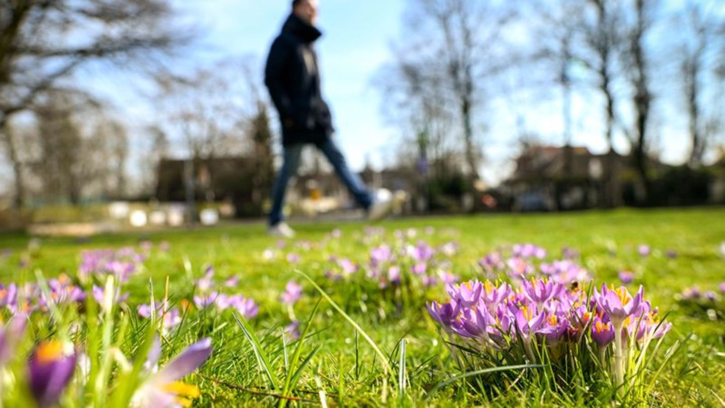 Frühlingsgefühle sind kein Mythos. Mehr Licht hebt die Stimmung – doch den Winterblues vertreibt, wer sich bewegt. Foto: Sina Sc