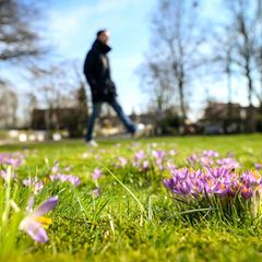Frühlingsgefühle sind kein Mythos. Mehr Licht hebt die Stimmung – doch den Winterblues vertreibt, wer sich bewegt. Foto: Sina Sc