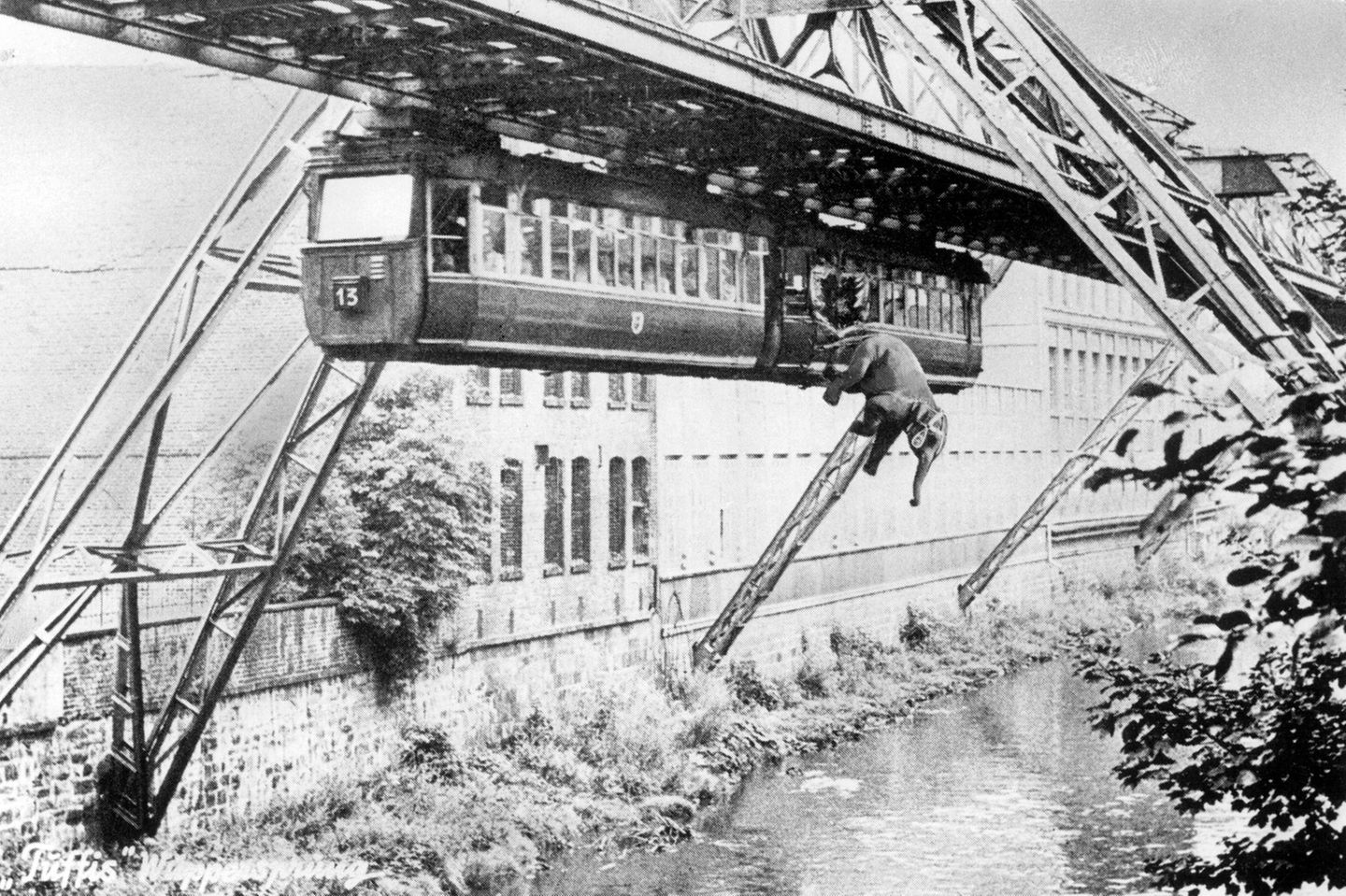 Fotomontage: Sprung des 14 Zentner schweren Zirkuselefanten Tuffi aus der Schwebebahn in die Wuppe