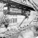 Fotomontage: Sprung des 14 Zentner schweren Zirkuselefanten Tuffi aus der Schwebebahn in die Wuppe