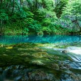 Una Fluss im Frühling