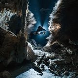 Mexikos Cenoten sind verwunschene Orte. Die vom Grundwasser gefluteten Höhen erstrecken sich weit in den Kalkstein der Halbinsel Yucatán. Dort unten schlummern Artefakte vergangener Zeiten und Kulturen: Schmuck, Keramik, menschliche Überreste. Doch die Grenzen der Unterwelt sind durchlässig. In der Cenote Dos Pisos entdeckte Taucher Manuel Wüthrich eine Kammer, durch deren Decke die Wurzeln der darüber wachsenden Bäume drängten. "Sie reichten wie Adern tief ins Wasser hinein und verbanden die unterirdische Welt mit dem Leben darüber." Mit seiner Kompaktkamera fotografierte er den magischen Moment. 