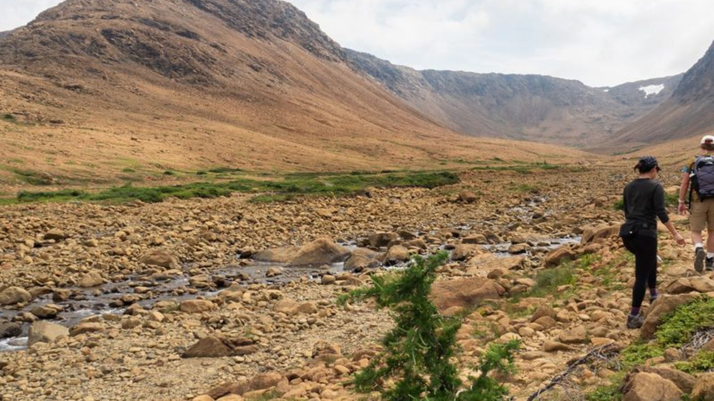 Von wegen nur Steine: In den Tablelands teilt sich die Landschaft eindrucksvoll mit. Foto: Andreas Drouve/dpa-tmn