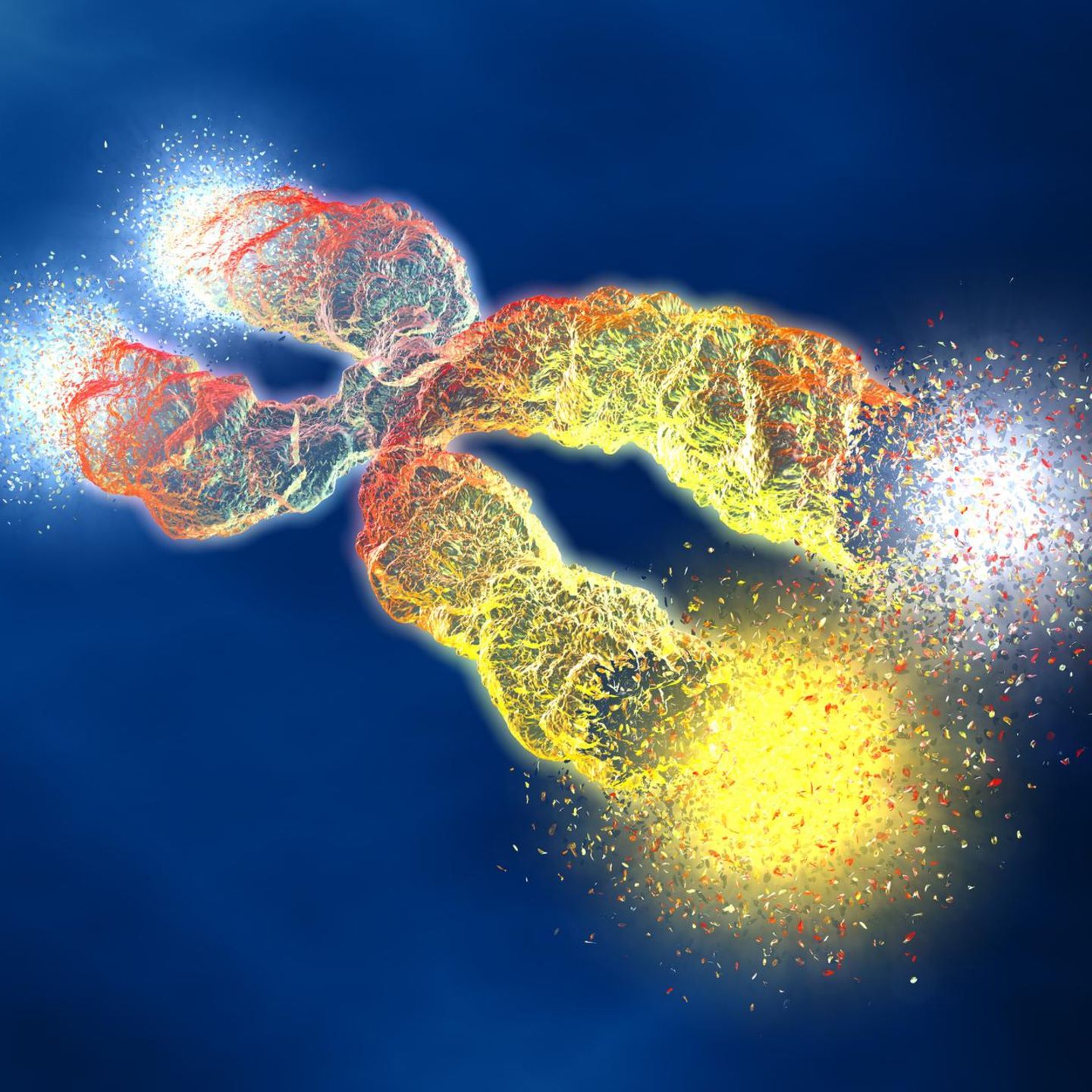 Illustration eines Chromosoms mit sich auflösenden Telomeren