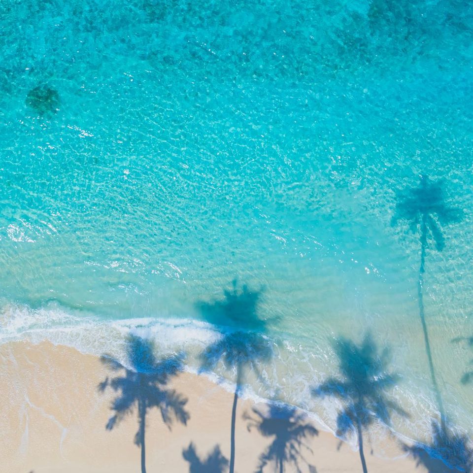 Audio-Quiz: Wie gut kennen Sie deutsche Dialekte?