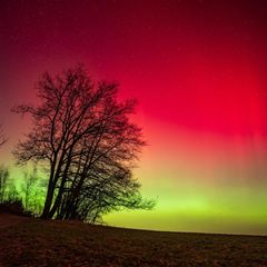 Grüne und rote Schleier über dem Nachthimmel: Polarlichter entstehen, wenn der Sonnenwind auf die Erdatmosphäre trifft