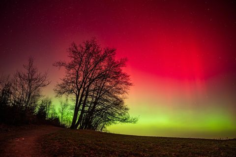 Grüne und rote Schleier über dem Nachthimmel: Polarlichter entstehen, wenn der Sonnenwind auf die Erdatmosphäre trifft
