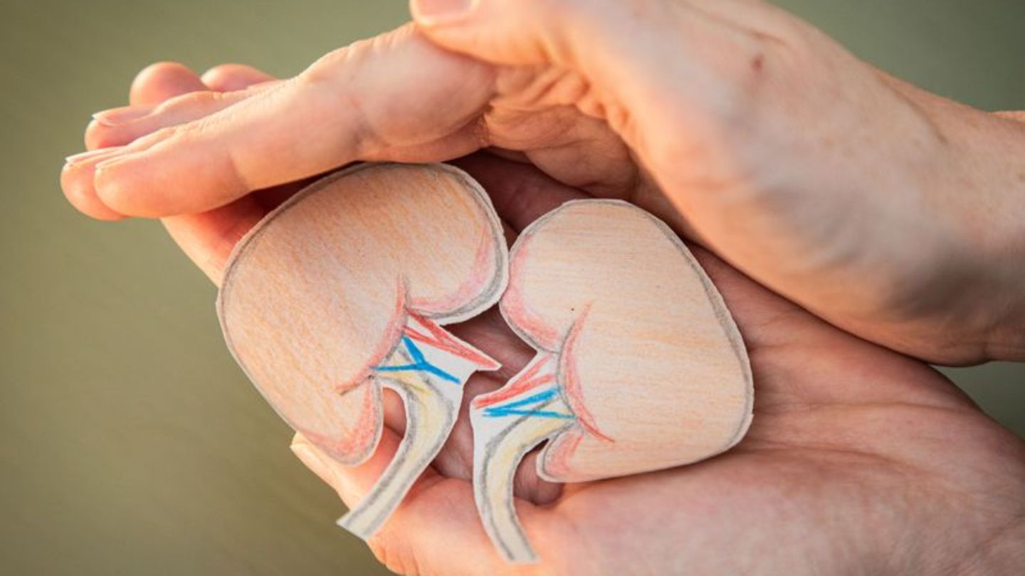 Ich pass' auf euch auf! Mit einem gesunden Lebensstil können wir unsere Nieren schützen. Foto: Christin Klose/dpa-tmn