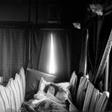 Elisabeth von Oettingen im Bett