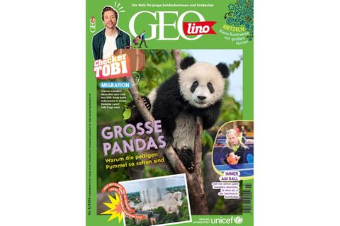 Cover GEOlino 03/2026: Pandas