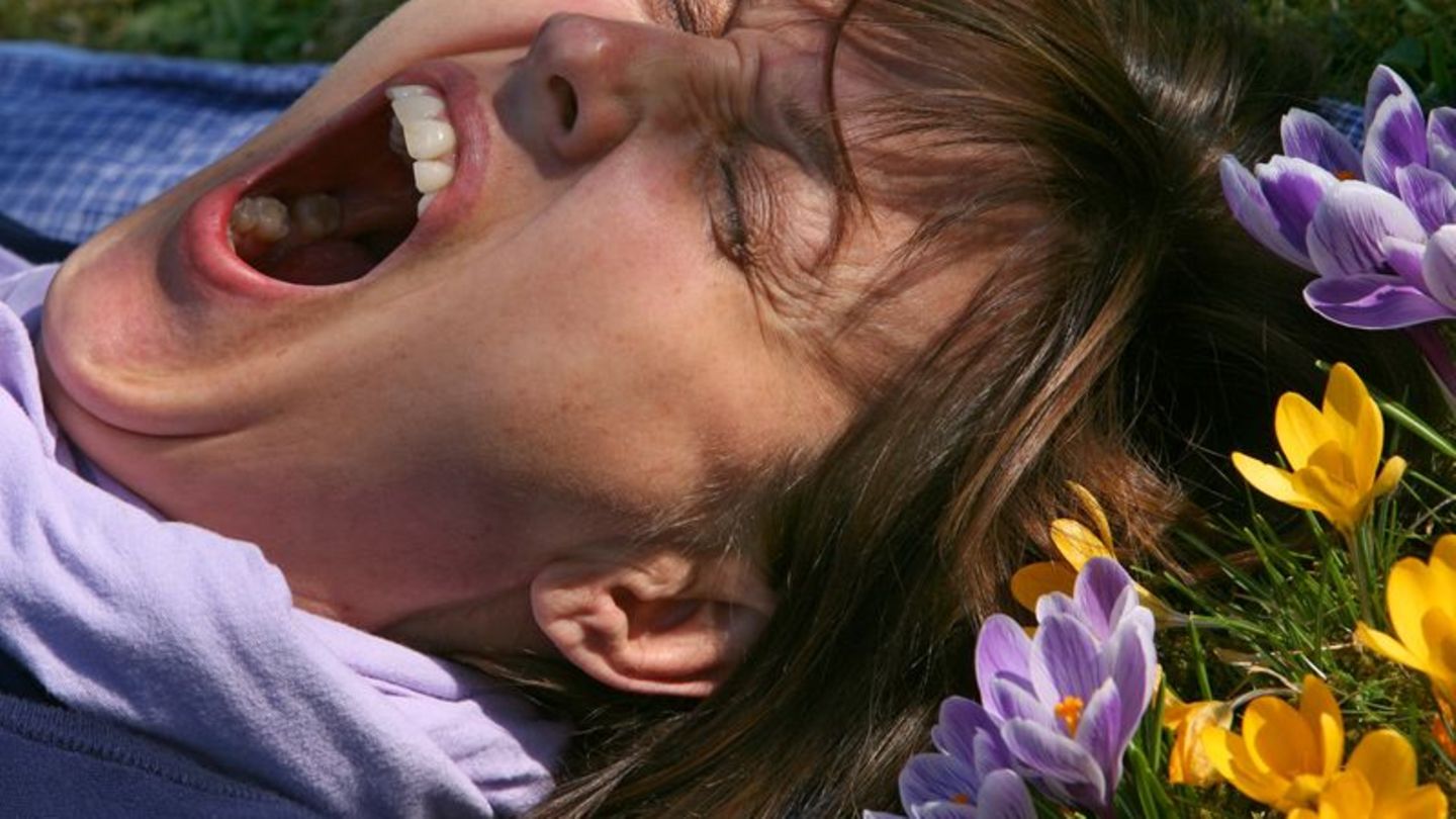 Eine Frau liegt auf einer mit Krokussen bewachsenen Wiese und gähnt. (Archivbild) Foto: picture alliance / Karl-Josef Hildenbran