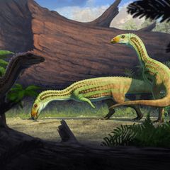 Künstlerische Rekonstruktion von Sonselasuchus cedrus  im heutigen Petrified Forest National Park vor 215 Millionen Jahren