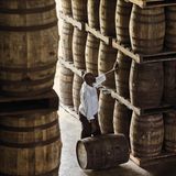 Mitarbeiter an Holzfässern in der Mount Gay Destillerie, Barbados