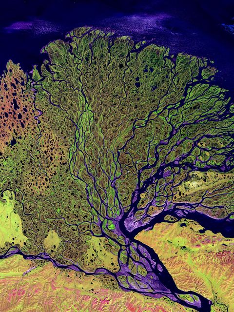 Satellitenaufnahme vom Lena Delta