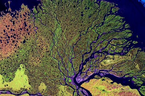 Satellitenaufnahme vom Lena Delta