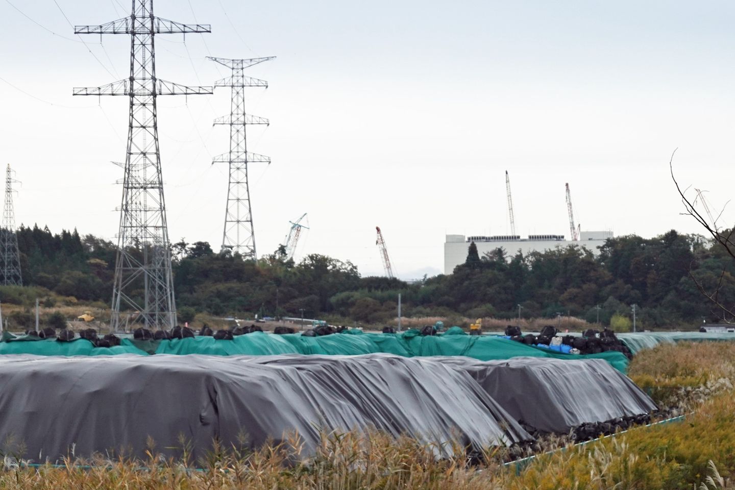 Fukushima Daiichi