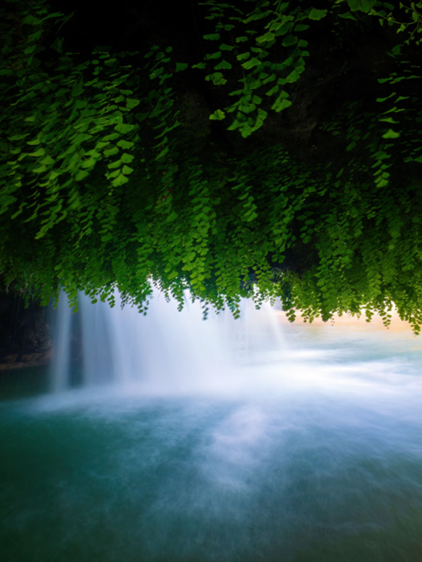 In Zrmanja, Kroatien, entdeckte der Fotograf Ingo Zahlheimer diese besondere Perspektive auf einen der zahlreichen Wasserfälle: Frauenhaarfarn bildet nicht nur in feuchten Nischen, sondern auch an der Unterseite von Felsvorsprüngen aus hellem Tuffstein dichte, dekorative Teppiche.   