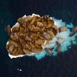 Zwischen Spitzbergen (Norwegen) und Franz-Josef-Land (Russland) leben etwa 2000 Walrosse. Neben großen Bullen drängen sich auf diesem kleinen Eisberg auch Weibchen mit ihren Jungtieren. Keine einfache Aufgabe für den Fotografen Sergey Gorshkov, die schreckhaften Tiere beim Fotografieren mit einer Drohne nicht zu stören. 