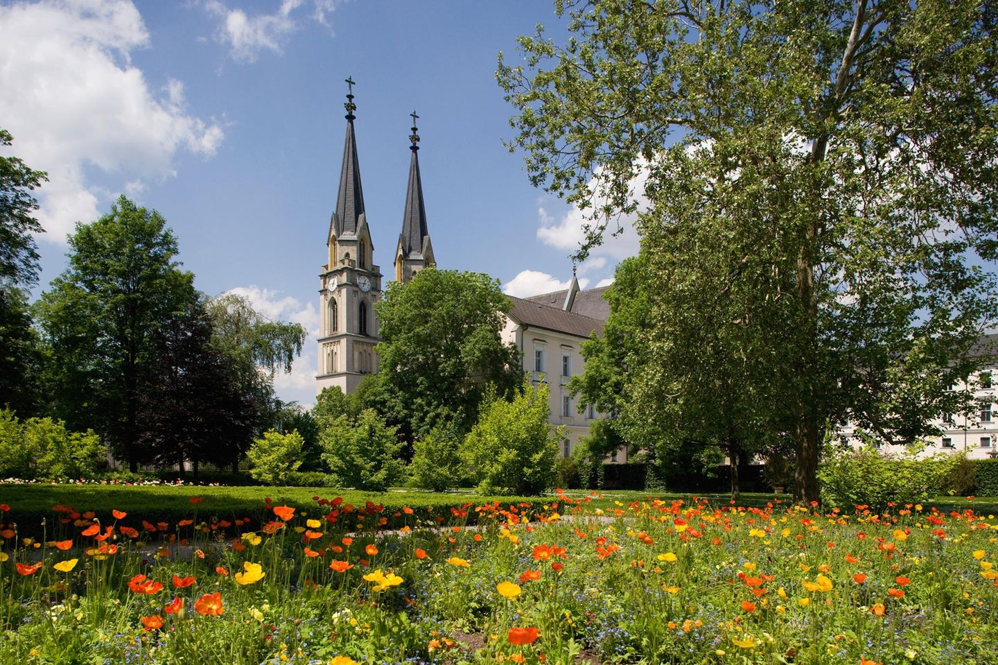 Stiftskirche Admont, davor Bäume und Wiese mit bunten Blumen