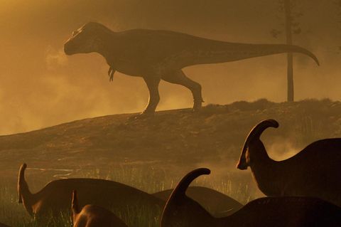 Parasaurolophus-Dinosauriern beobachten einen riesigen Tyrannosaurus