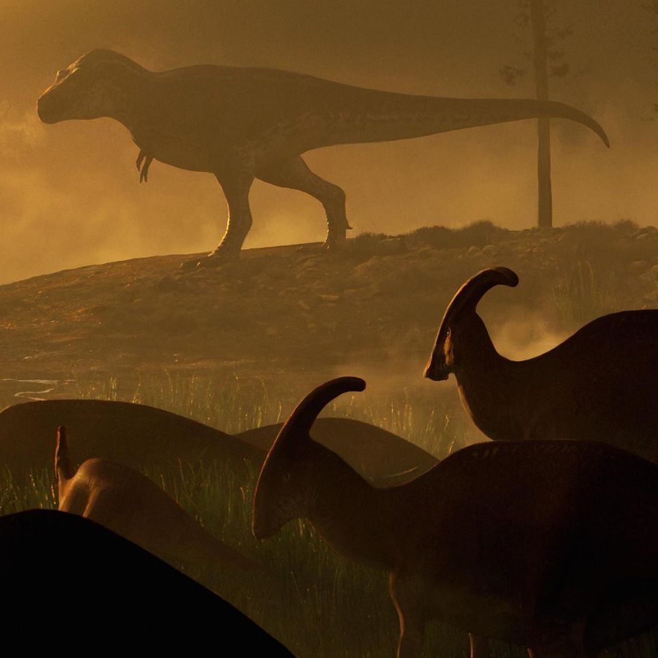 Parasaurolophus-Dinosauriern beobachten einen riesigen Tyrannosaurus