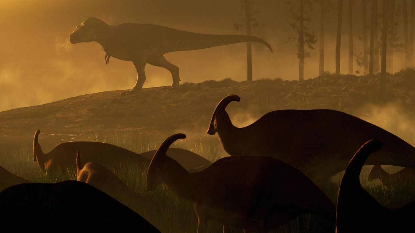 Parasaurolophus-Dinosauriern beobachten einen riesigen Tyrannosaurus