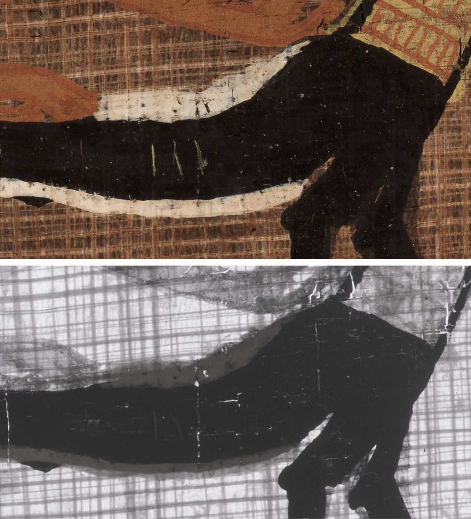 Detailbilder der dicken weißen Striche am Rücken und Bauch des Schakals